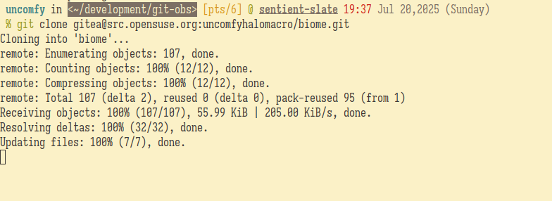 Running git clone of the forked repo